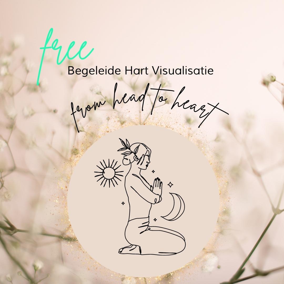 Begeleide Hart Visualisatie